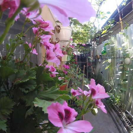 Casa Milly Constanta Lägenhet Exteriör bild